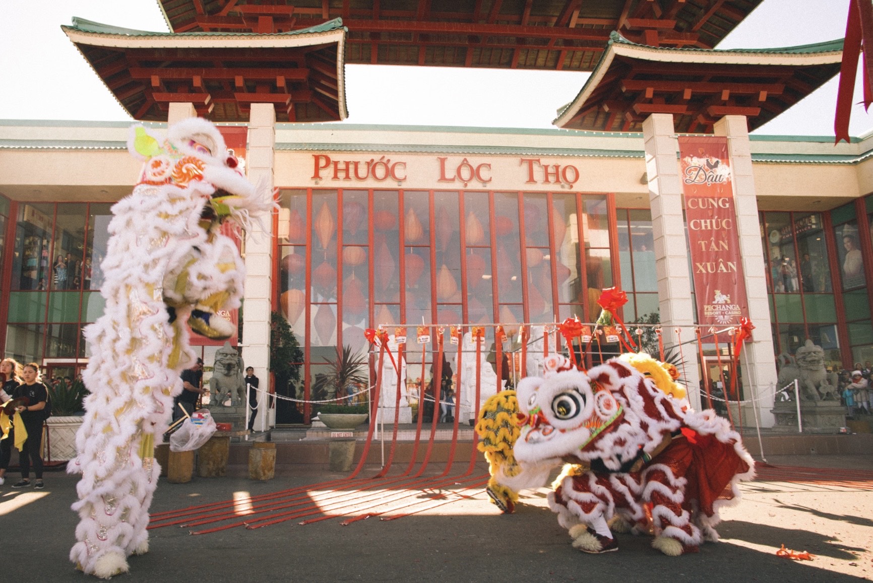 Asian Garden Lunar New Year firecracker show and lion dance